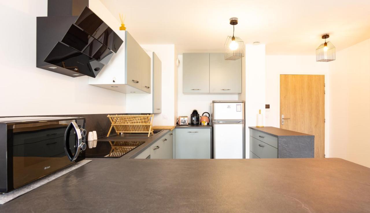 85 Geneve Confortable T2 Avec Parking Prive 안시 외부 사진